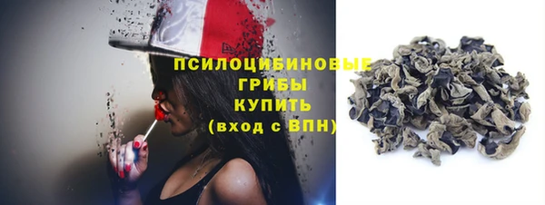 ПСИЛОЦИБИНОВЫЕ ГРИБЫ Балахна