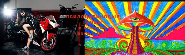 дурь Беломорск